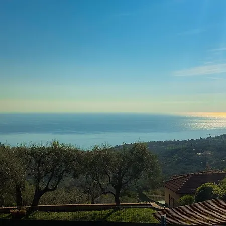 Arturo-s Blue Horizon * Gorleri